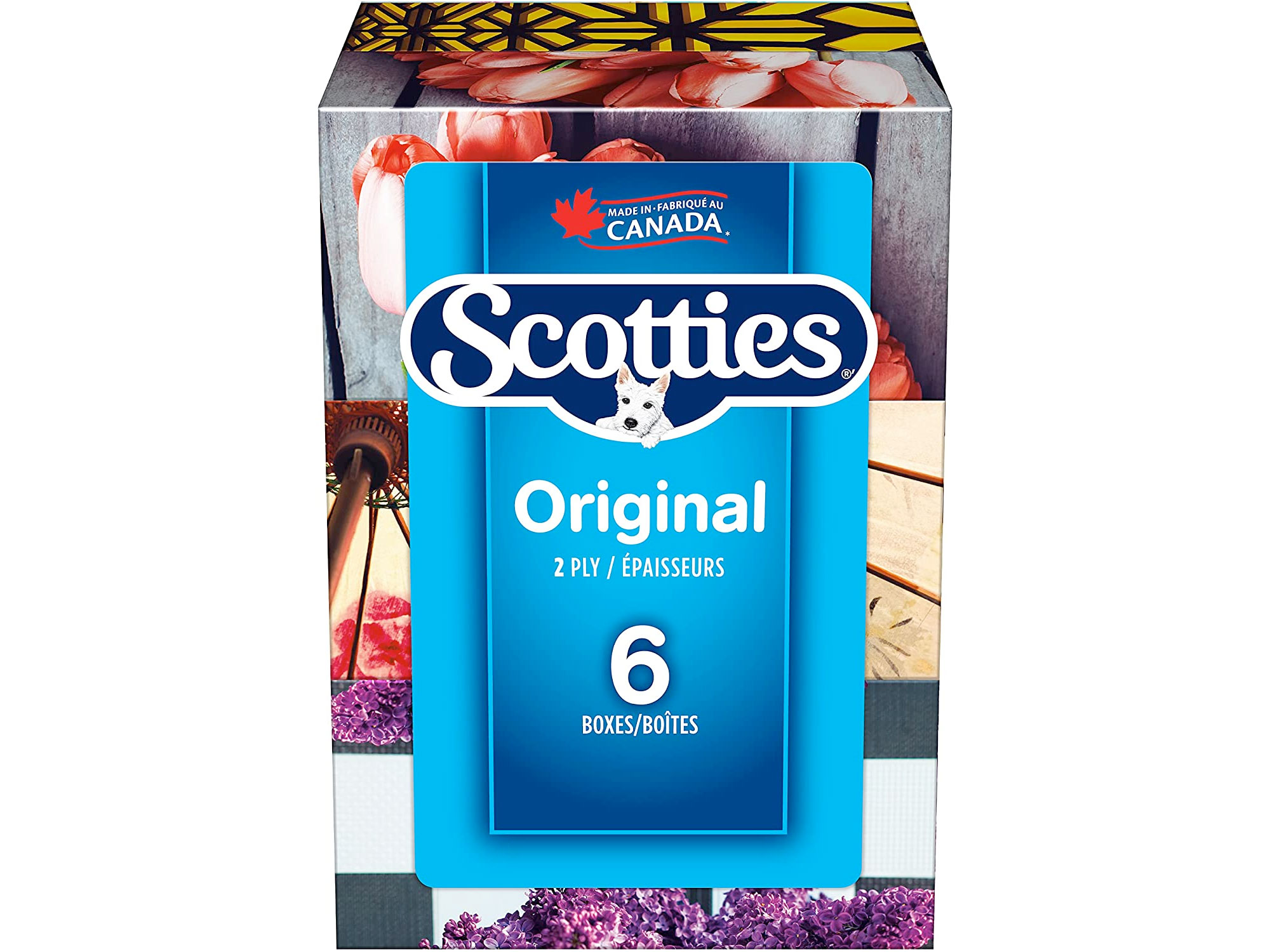 Amazon:Scotties Facial Tissue (126 Tissues/box, 6 Boxes)只賣$4.99
