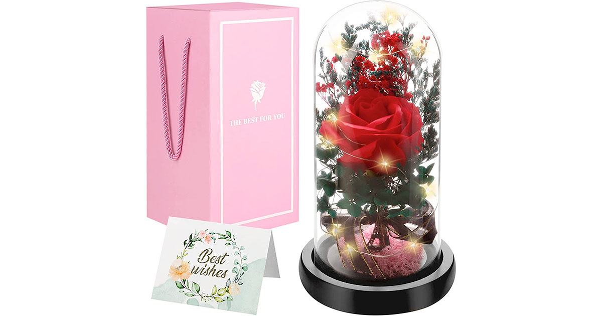 Amazon：Rose in Glass Dome只賣$19.99