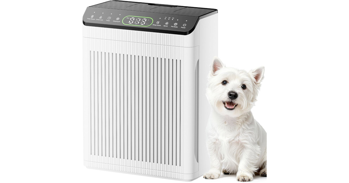 Amazon：Air Purifiers (up to 2200 sq.ft)只賣$69.59